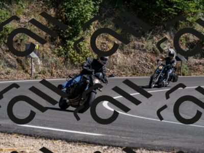 202508091555-_DSC2441_d2_