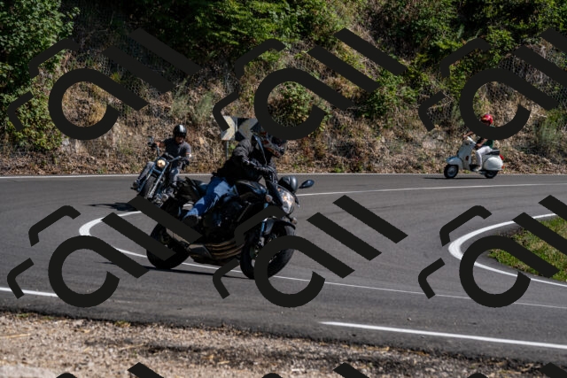 202508091555-_DSC2442_d2_