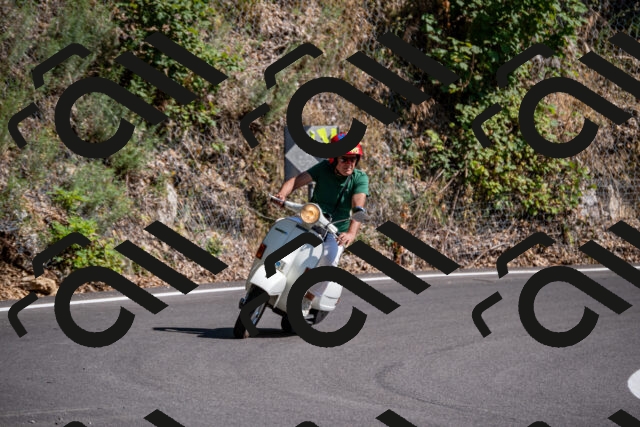 202508091555-_DSC2444_d2_