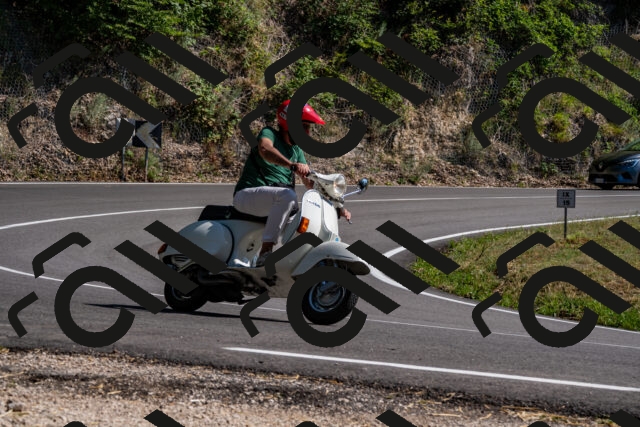 202508091555-_DSC2447_d2_