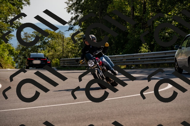 202508091558-_DSC2468_d2_