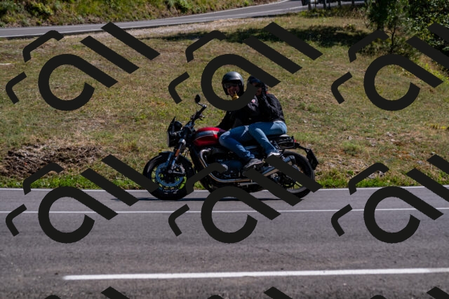 202508091558-_DSC2470_d2_