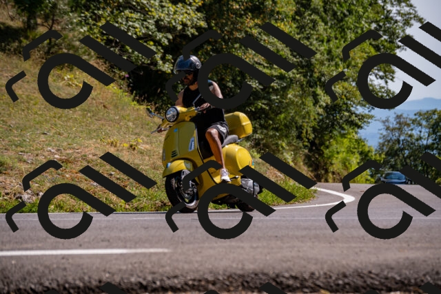 202508091559-_DSC2471_d2_