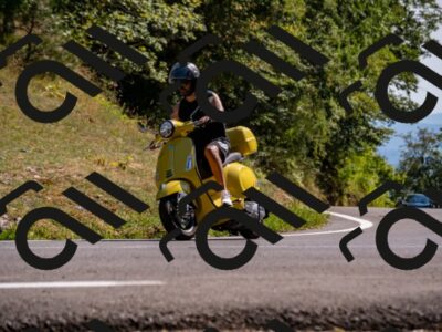 202508091559-_DSC2471_d2_