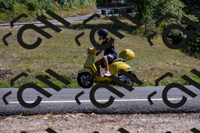 202508091559-_DSC2472_d2_