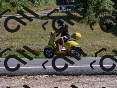 202508091559-_DSC2472_d2_