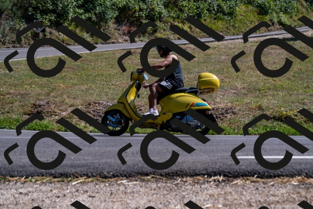 202508091559-_DSC2473_d2_