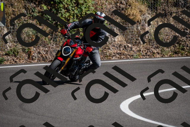 202508091600-_DSC2475_d2_