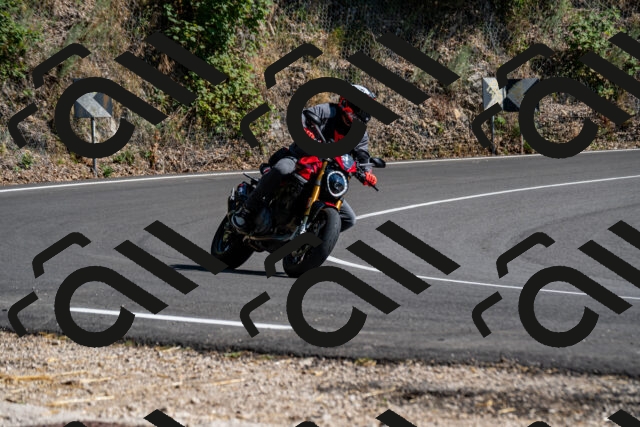 202508091600-_DSC2476_d2_