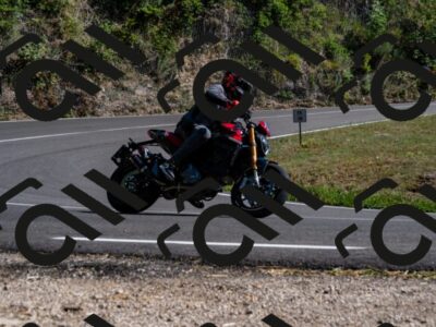 202508091600-_DSC2477_d2_