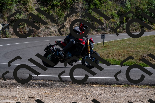 202508091600-_DSC2477_d2_