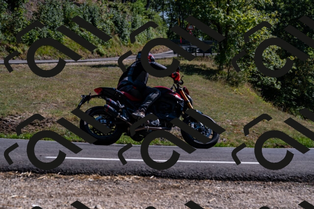 202508091600-_DSC2478_d2_