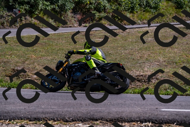 202508091601-_DSC2483_d2_