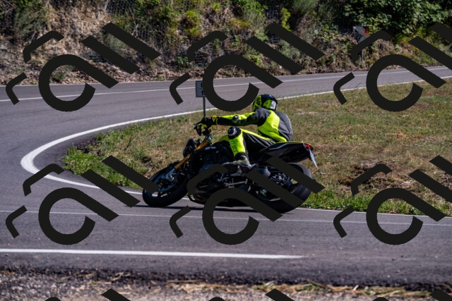 202508091601-_DSC2484_d2_