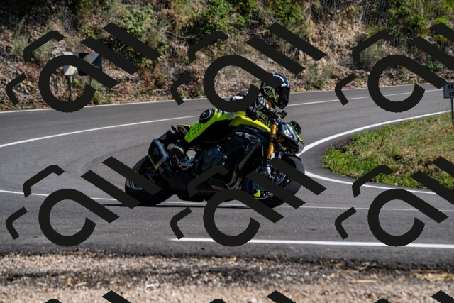 202508091606-_DSC2490_d2_