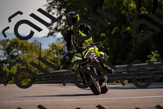 202508091607-_DSC2493_d2_