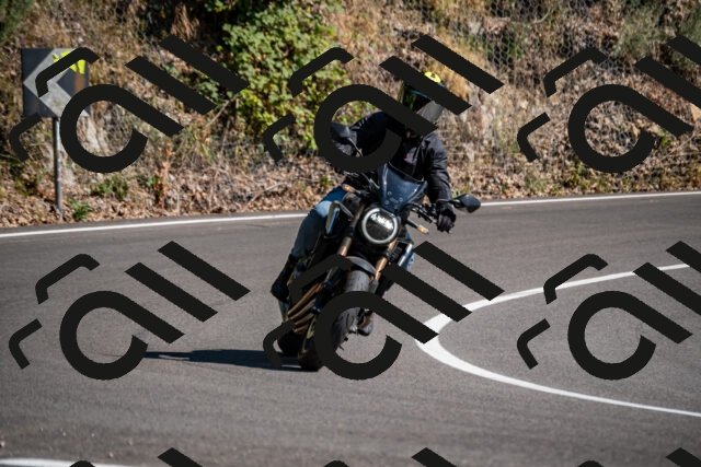 202508091608-_DSC2497_d2_