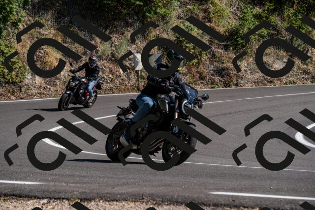 202508091608-_DSC2498_d2_