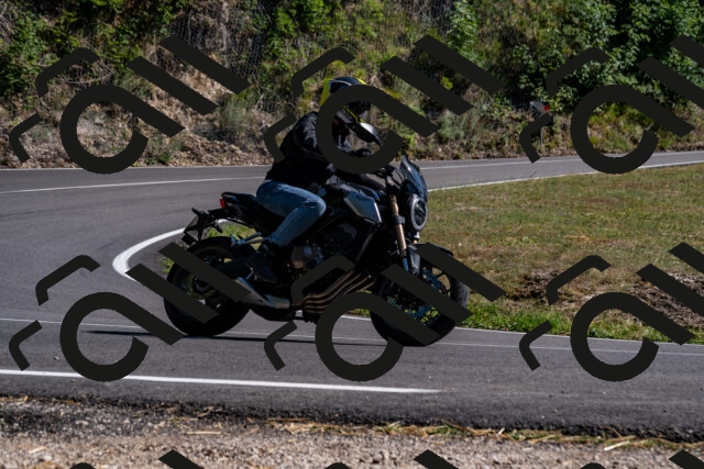 202508091608-_DSC2499_d2_