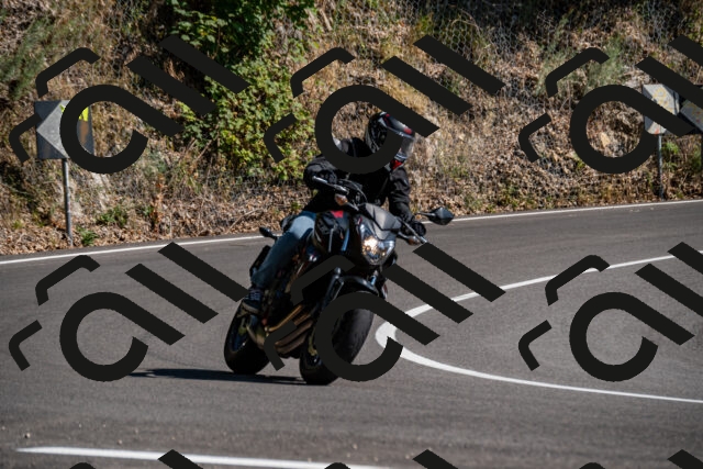 202508091608-_DSC2500_d2_