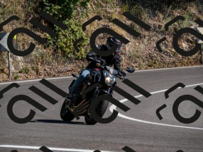 202508091608-_DSC2500_d2_