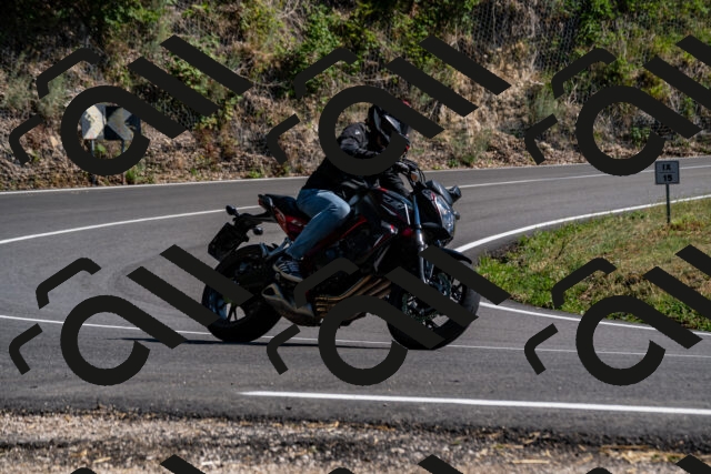 202508091608-_DSC2501_d2_