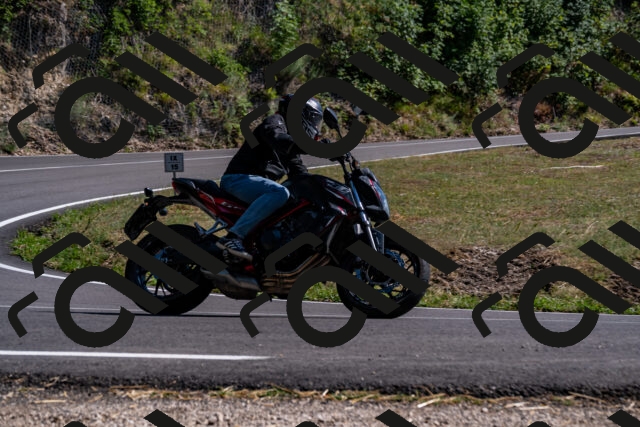 202508091608-_DSC2502_d2_