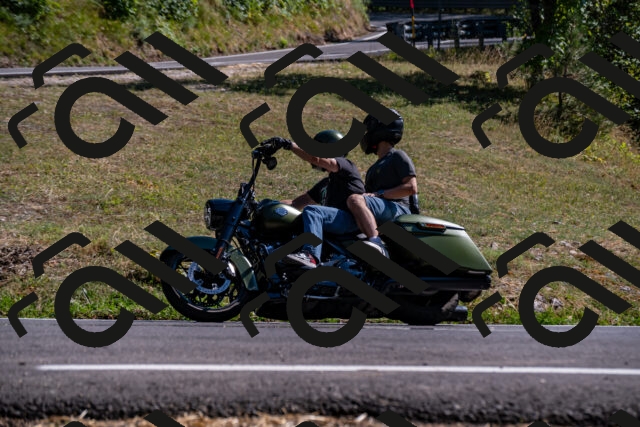 202508091613-_DSC2504_d2_