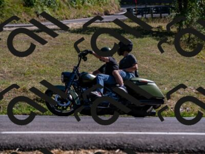 202508091613-_DSC2504_d2_