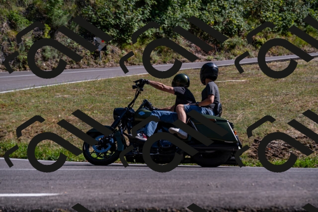 202508091613-_DSC2505_d2_