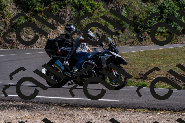 202508091619-_DSC2514_d2_