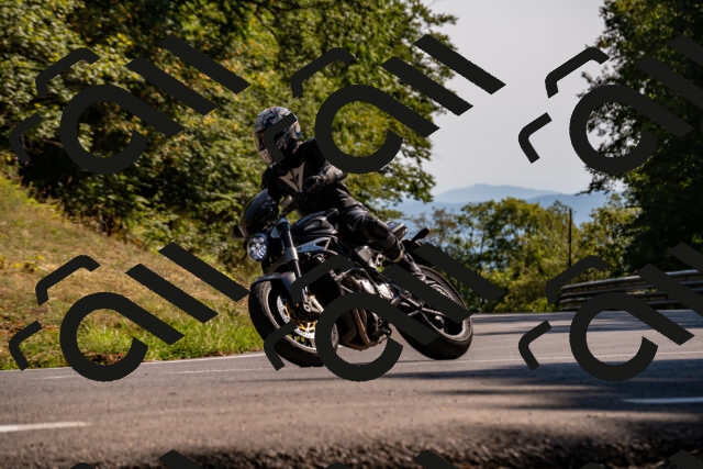 202508091629-_DSC2522_d2_