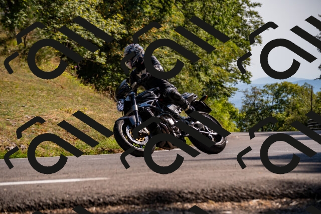 202508091629-_DSC2523_d2_