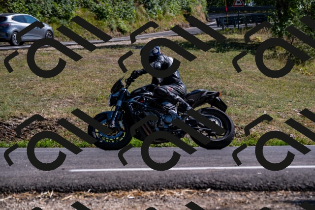 202508091629-_DSC2524_d2_