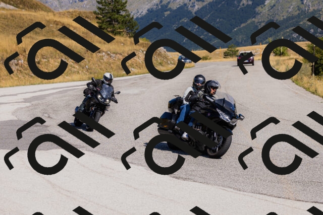 202508091020-_04A9233_c3