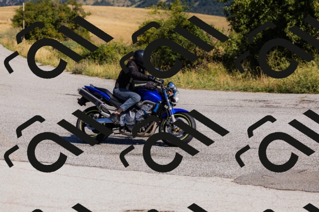 202508091022-_04A9238_c3