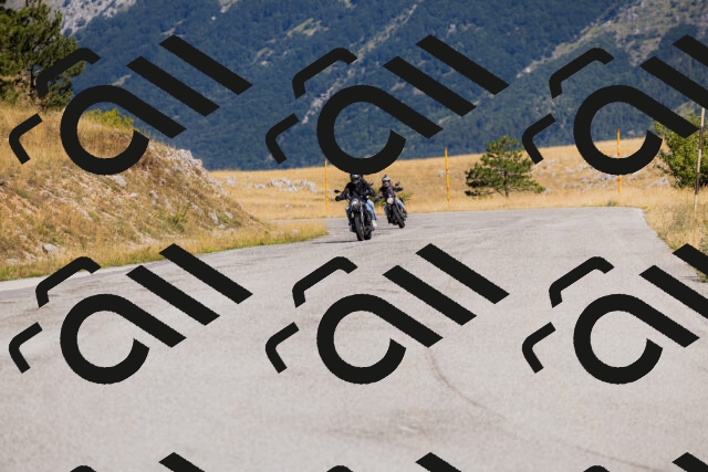 202508091024-_04A9240_c3