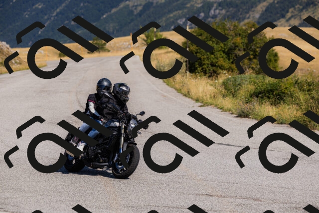 202508091024-_04A9243_c3