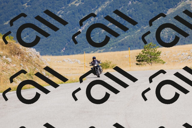 202508091027-_04A9250_c3