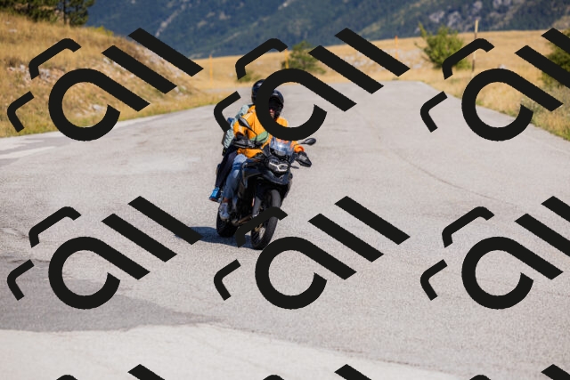 202508091031-_04A9266_c3