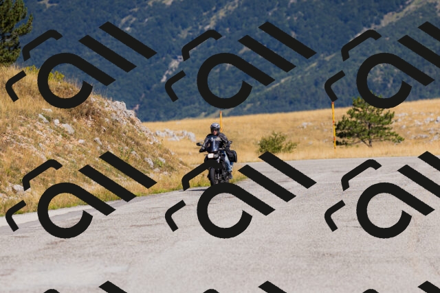 202508091035-_04A9272_c3