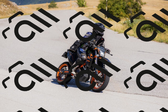 202508091045-_04A9288_c3