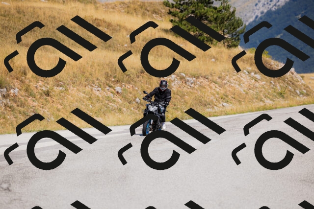 202508091049-_04A9294_c3