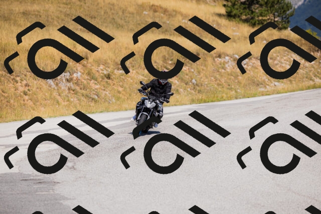 202508091049-_04A9295_c3