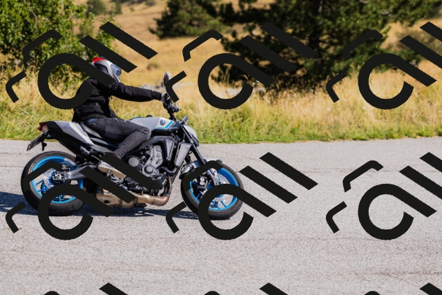 202508091049-_04A9299_c3