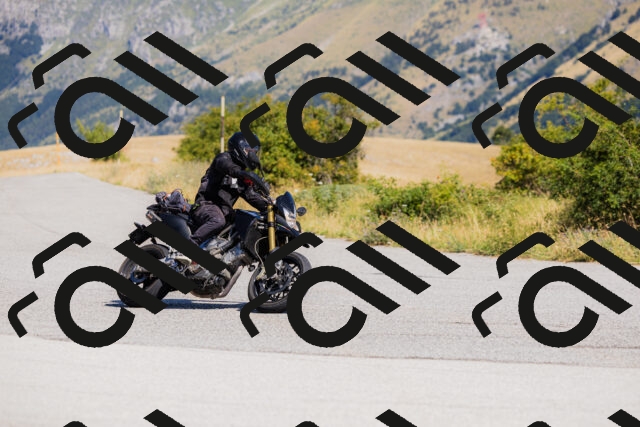 202508091102-_04A9313_c3