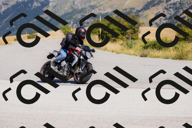 202508091102-_04A9316_c3