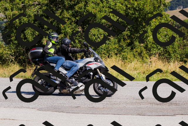 202508091105-_04A9326_c3