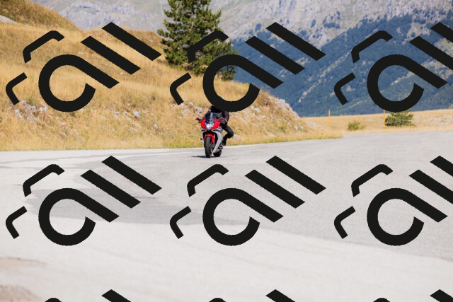 202508091107-_04A9337_c3