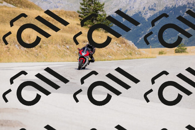 202508091107-_04A9338_c3